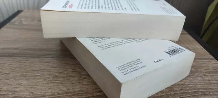 Dôme de Stephen King - photo numéro 8