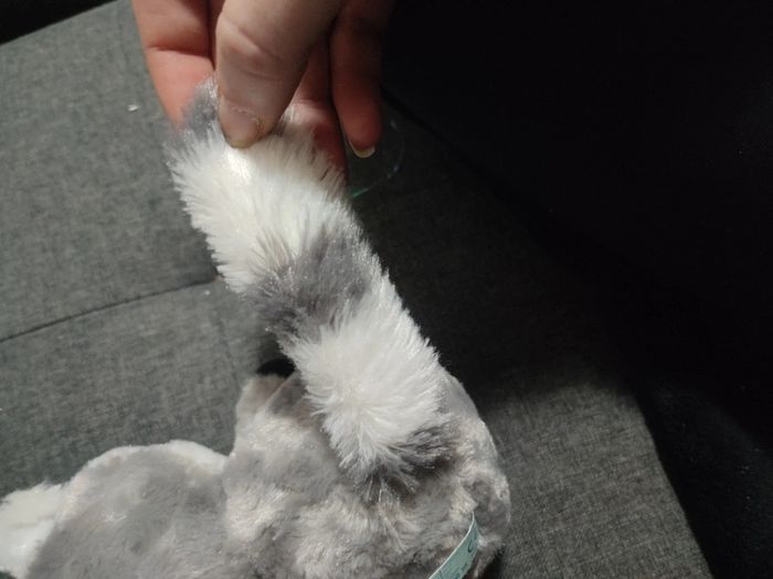 Peluche - photo numéro 4