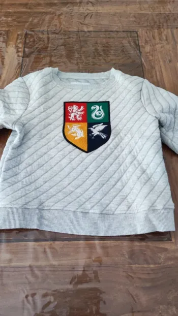 Sweat Harry Potter