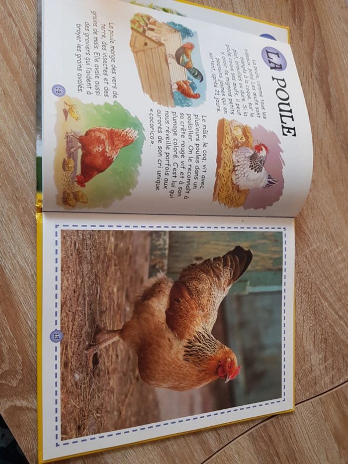 Livre les animaux de la ferme - photo numéro 4