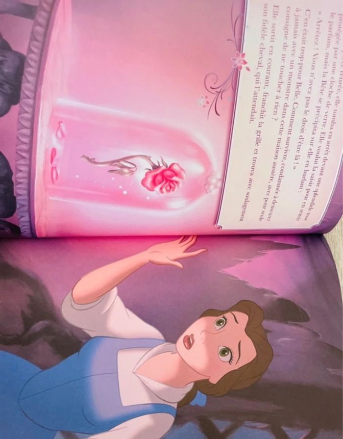 Livre de compte Disney Histoire de princesse histoire du soir - photo numéro 8