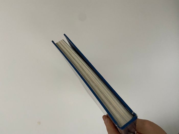 livre disney le monde enchanté pays des merveilles - photo numéro 6