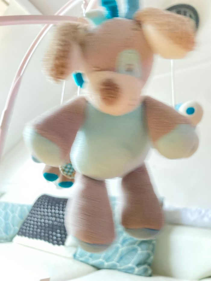 Mobile Gaston et Cyril Nattou - photo numéro 7