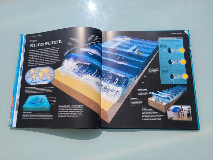 Livre Les Océans 🌊 à la loupe, éditions Larousse (48) - photo numéro 7