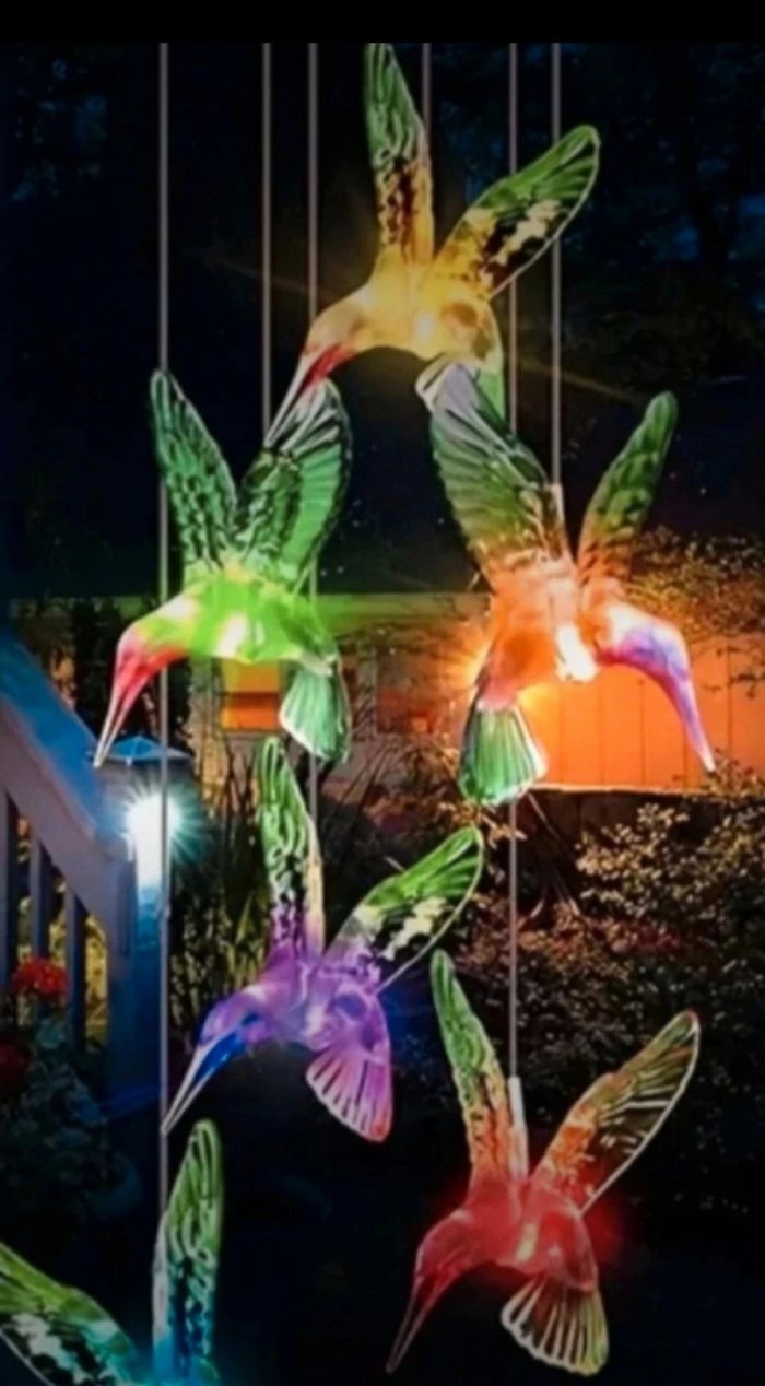 Lumière decorative - photo numéro 3
