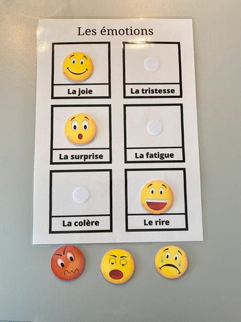Fiche de type Montessori « les émotions »