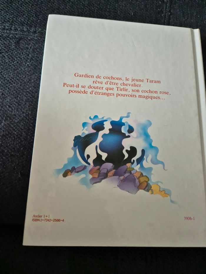 Livrz Taram et le chaudron magique - photo numéro 2