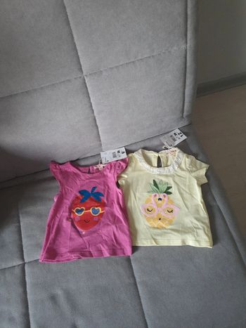 Lot de deux t-shirts Du Pareil Au Même DPAM taille 9 mois neuf avec étiquettes