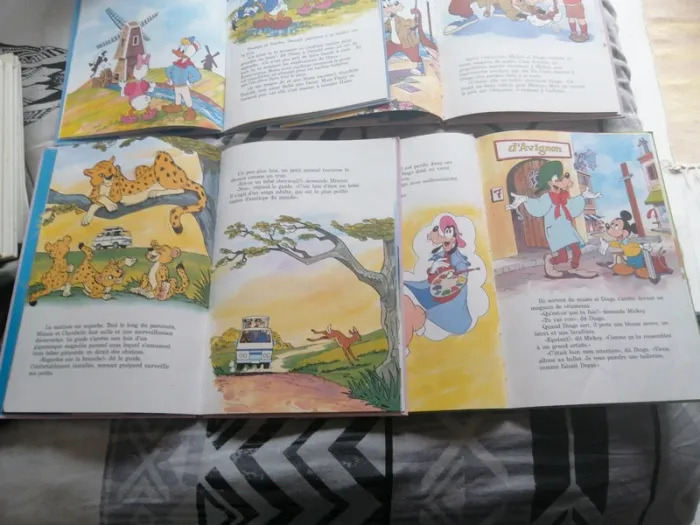 Livres Disney - photo numéro 6