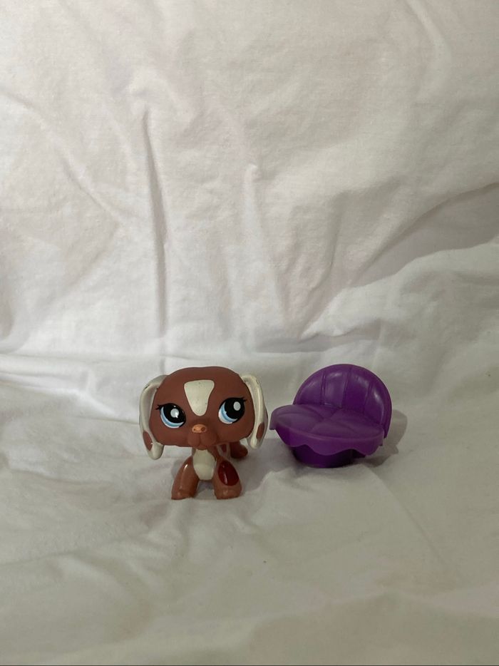 lps teckel rare - photo numéro 2