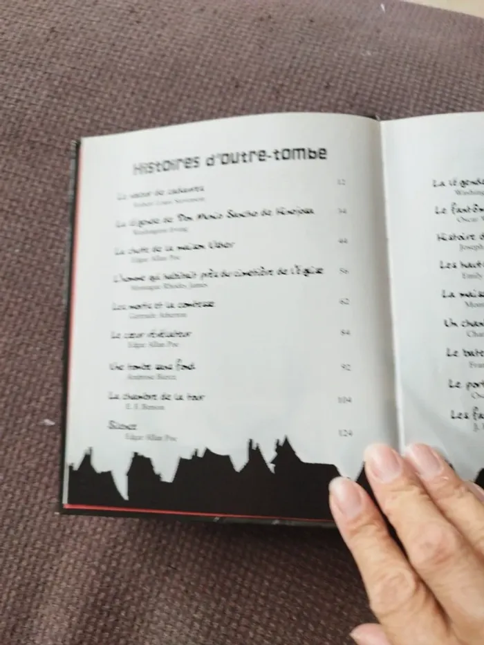 Livre histoire de fantômes - photo numéro 10