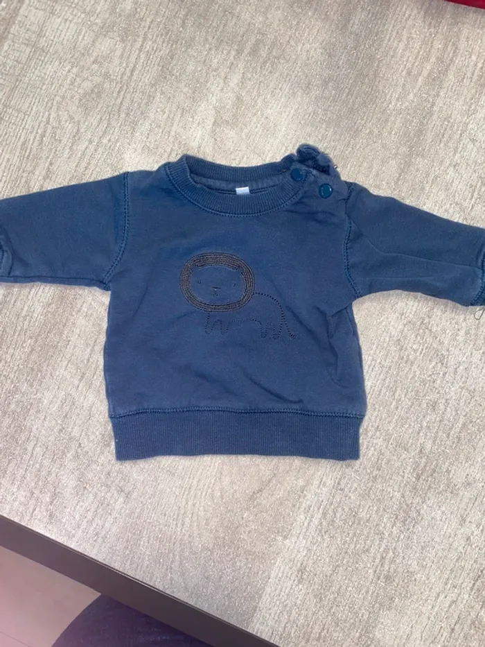 Sweat bleu sans marque (lion brodé)