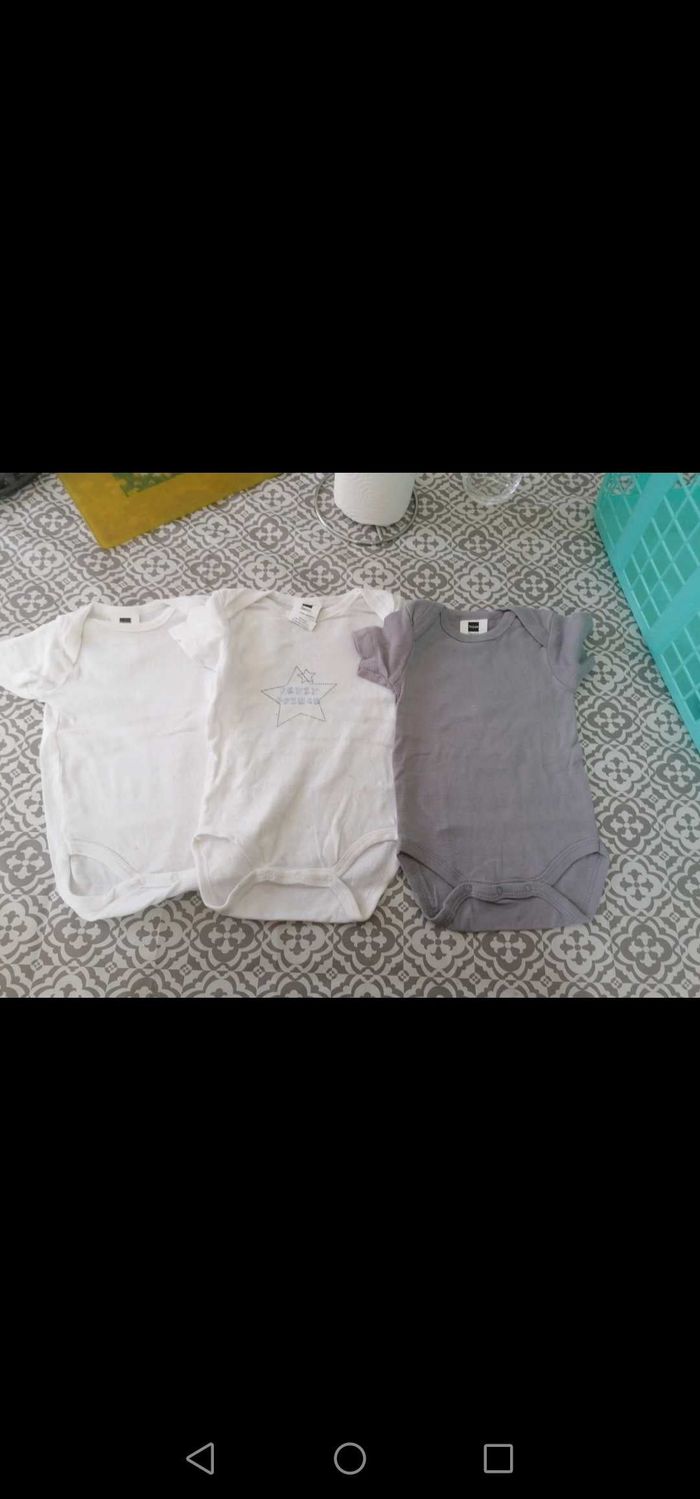 Lot 3 bodies