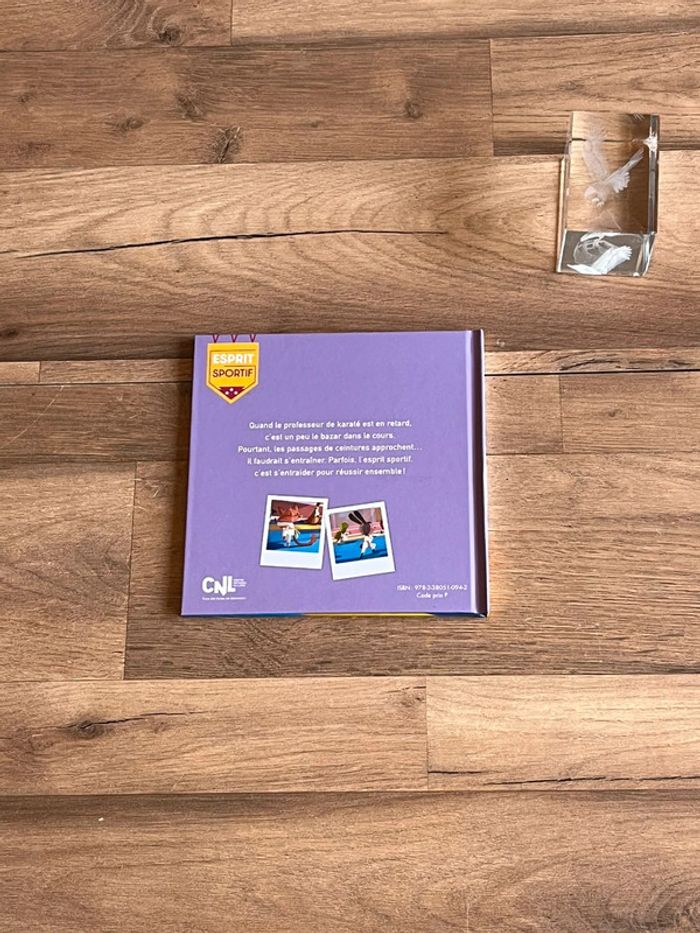 Je vend un livre enfant bon état - photo numéro 2