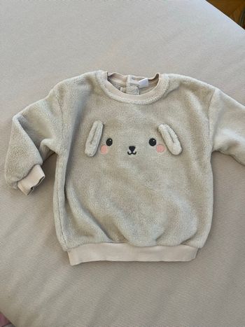 Pull polaire