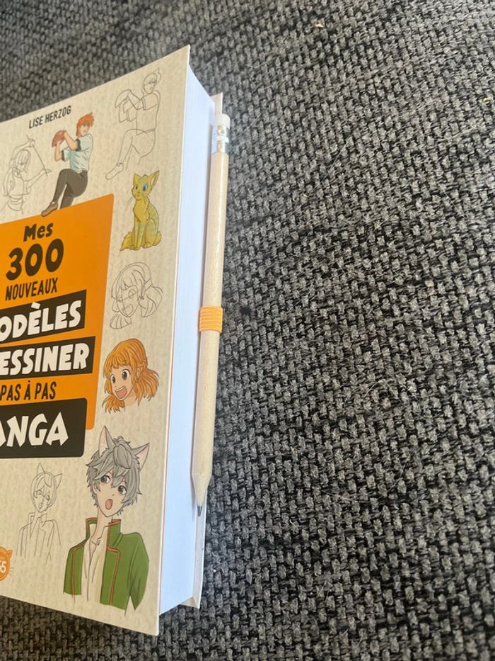 Livre dessiner les mangas - photo numéro 2