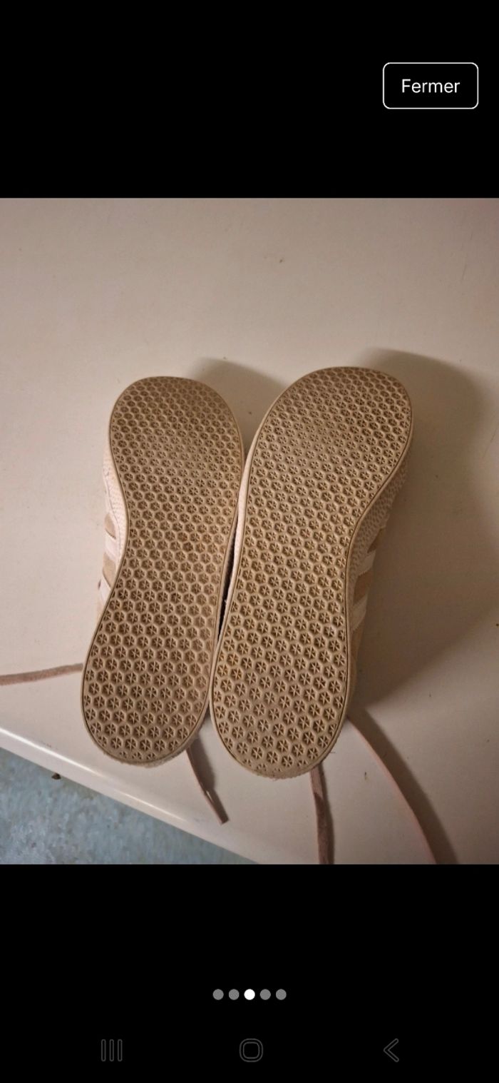 Gazelle rose roses claires et blanches - photo numéro 3