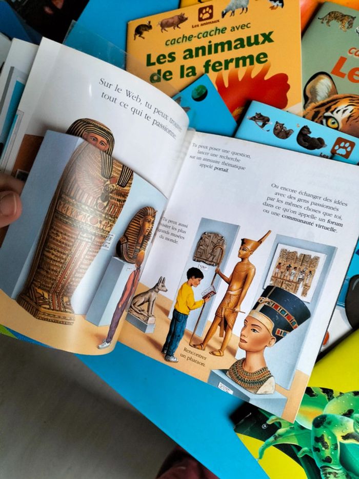 Livre cache cache - photo numéro 3