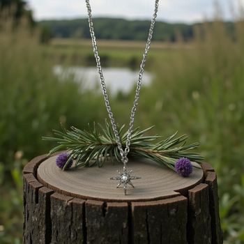 Collier Étoile Platine – Perle Nacrée & Strass  