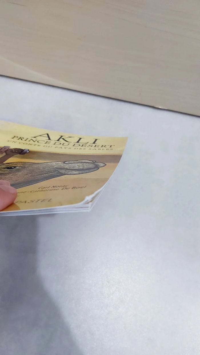 🌺 Livre (école des loisirs) : Akli prince du désert - photo numéro 6