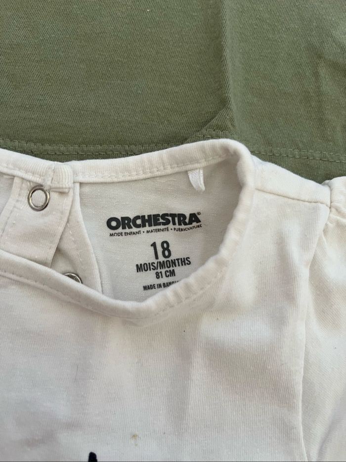 Lot 2 teeshirt Manche courte 18mois - photo numéro 3
