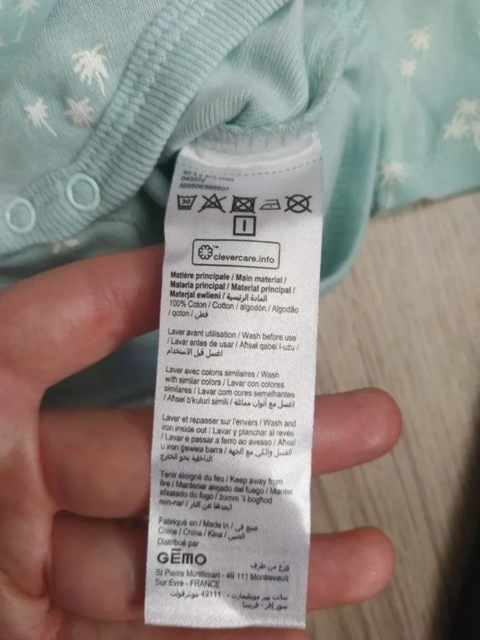 Bodies palmier - photo numéro 2