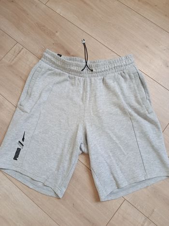 Short Puma