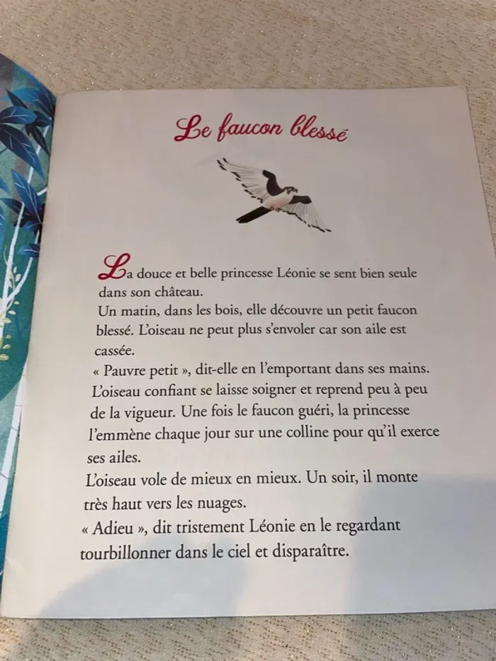 Lot de 2 livres pat patrouille joyeux Halloween et fleurus - photo numéro 16