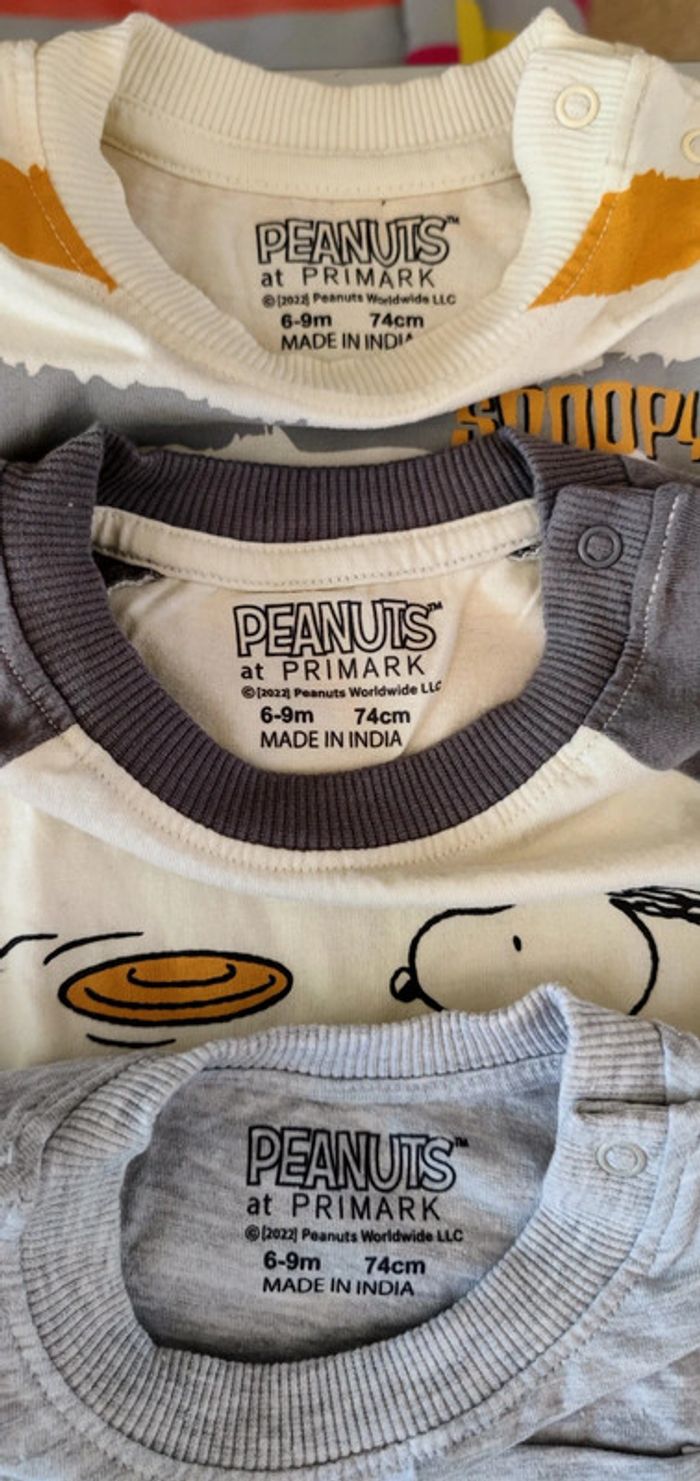 8 tee-shirts Disney 🧸 Peanuts🐶 et petits cailloux 6 - 9 mois 💞 - photo numéro 4