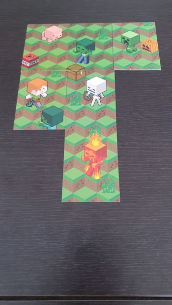 6 cartes Minecraft Grass