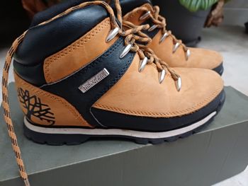 Chaussures Timberland