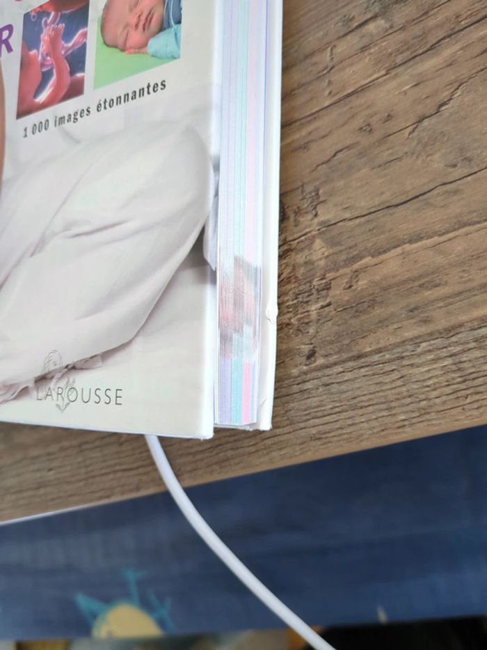 Vôtre grossesse jour après jour - photo numéro 7