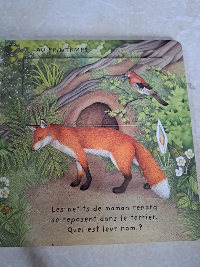 Livre cartonné les 4 saisons en TBE - photo numéro 2