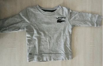 Pull Lacoste 24 mois