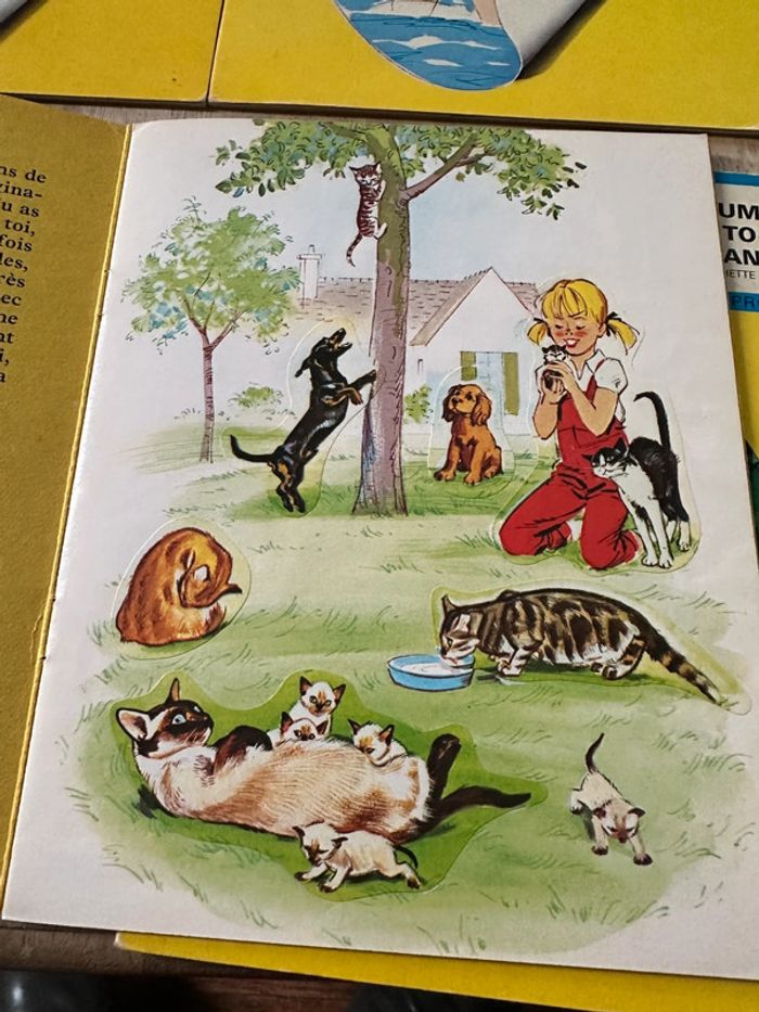 Lot de 4 livres albums autocollants rares Caroline Pierre Probst vintage anciens - photo numéro 9