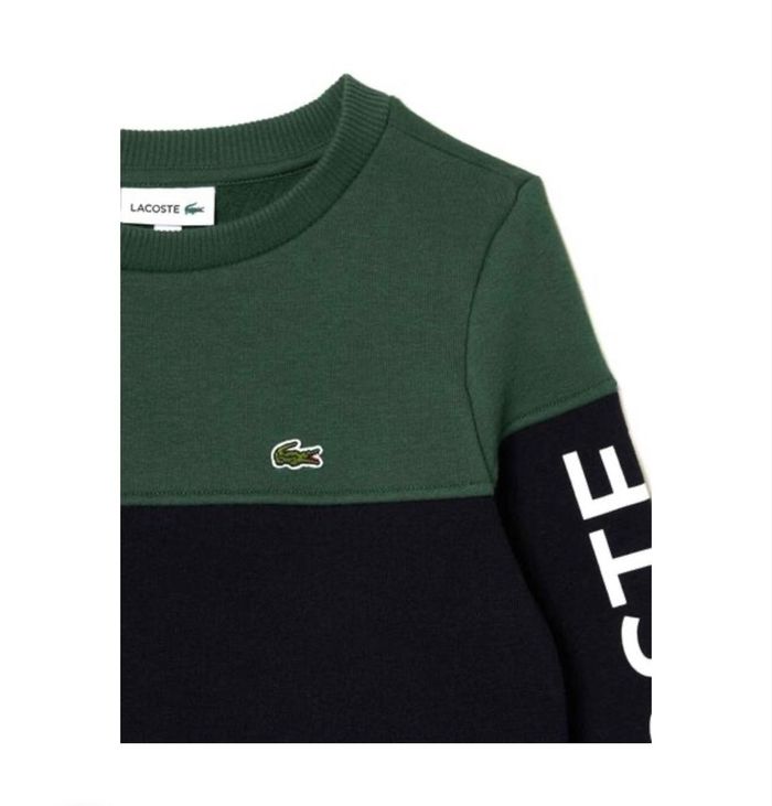 Sweat Lacoste Couleur pour Garçon Fille - photo numéro 3