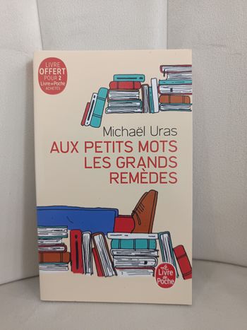 Roman " Aux petits mots les grands remèdes "