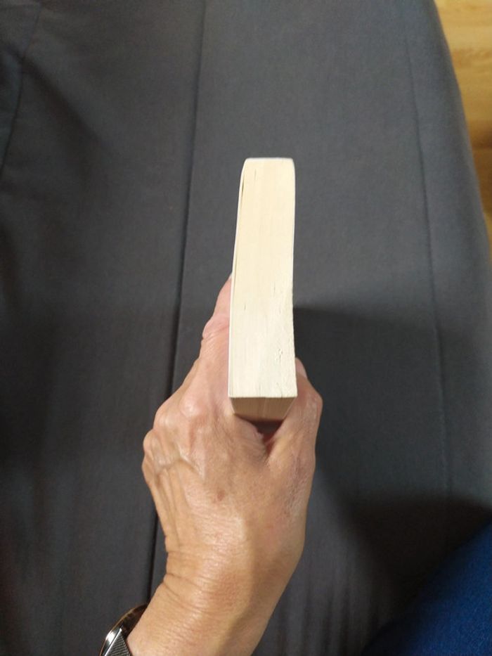 Un fils en or de Shilpi Somaya Gowda - photo numéro 4