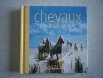 CHEVAUX DES BORDS DE MER