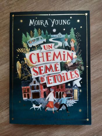 Un chemin semé d'étoiles de Moira Young