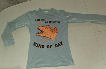 Tee shirt longue manche dinosaure 