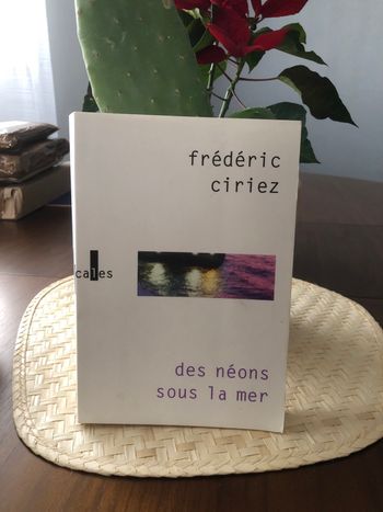Des néons sous la mer - Frédéric Ciriez 