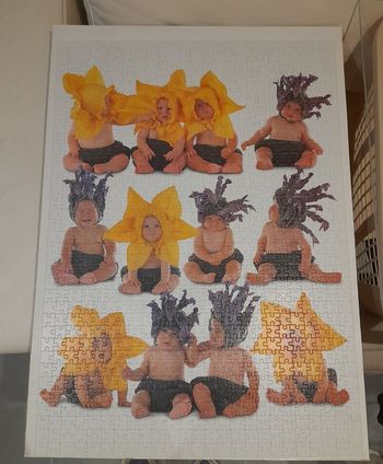 Puzzle 900 pièces Anne Geddes