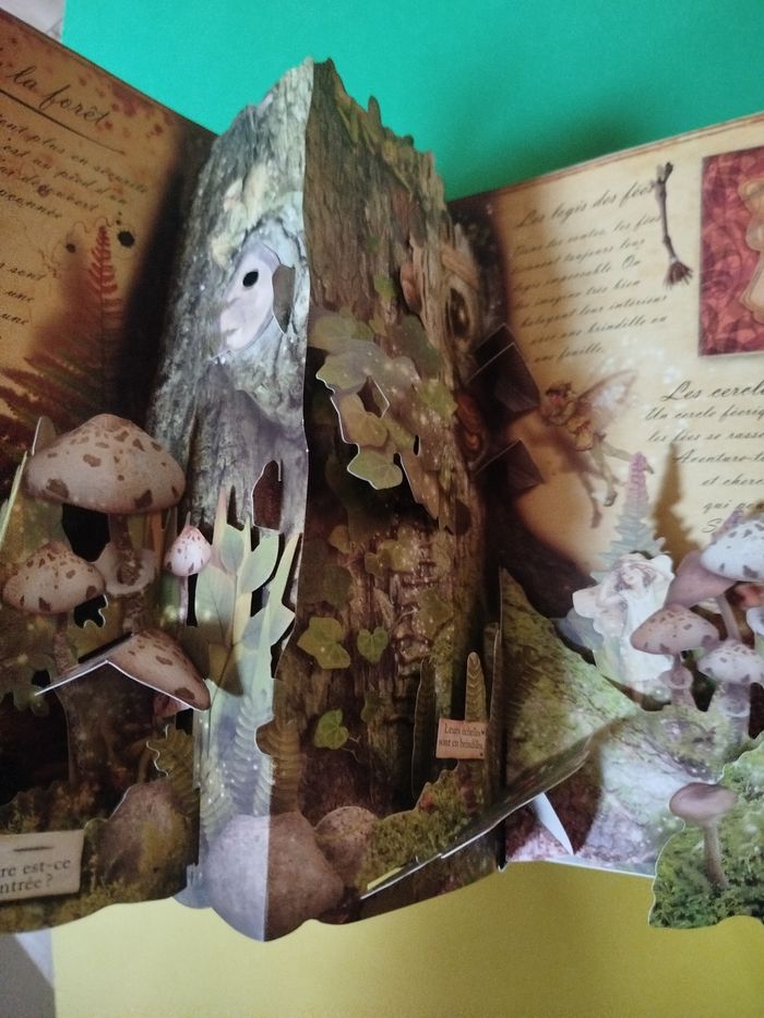 Pop-up à la recherche des fées et des fleurs - photo numéro 3