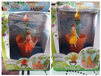 Figurine avec pot et graines à planter