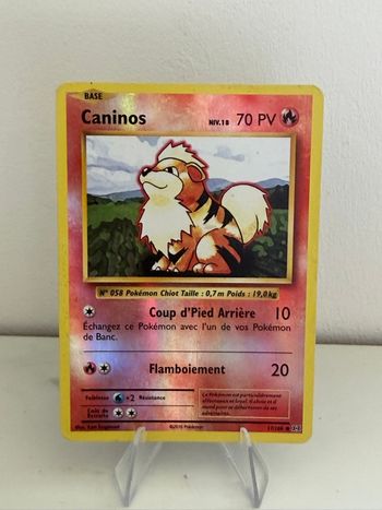 Carte Pokémon XY Évolutions Reverse Caninos 17/108