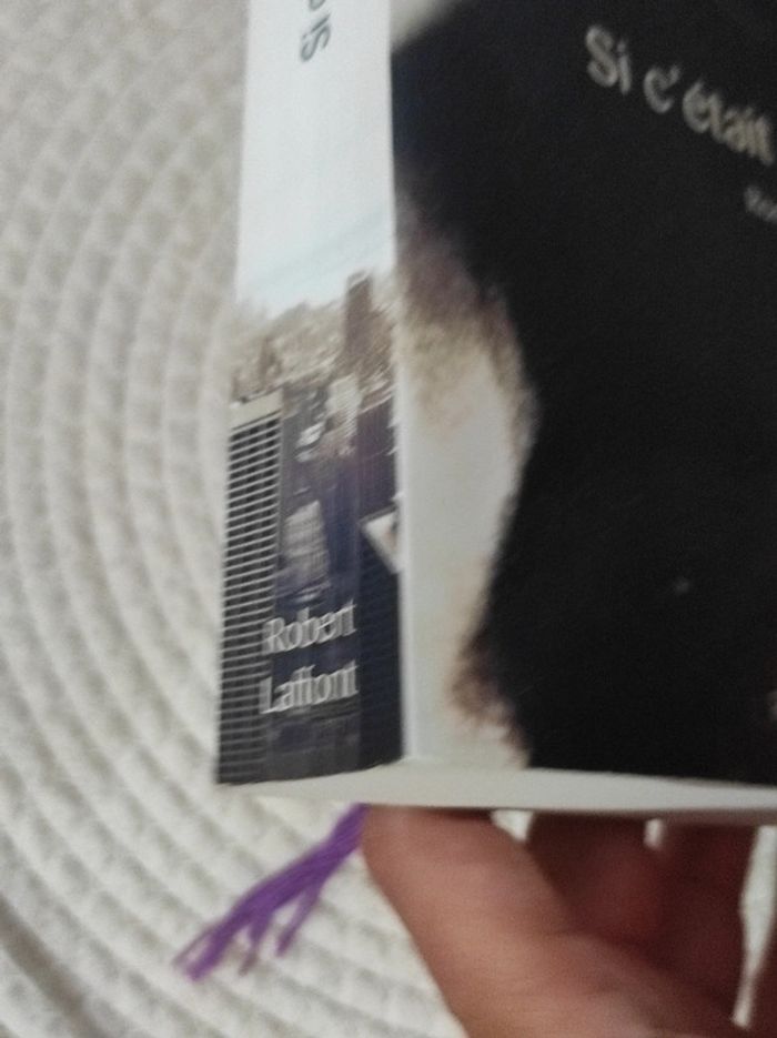 Si c'était à refaire de Marc Levy - photo numéro 5