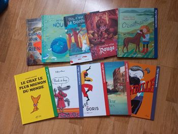 Lot de 10 livres d'histoires comme neuf