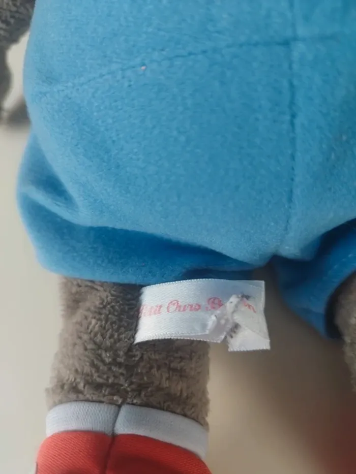Petit ours brun - photo numéro 4