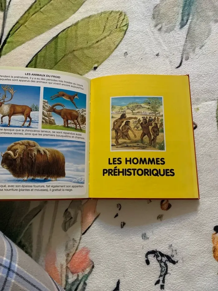 L’imagerie des dinosaures et de la préhistoire - photo numéro 4